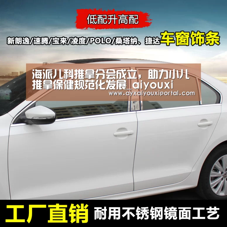 海派儿科推拿分会成立，助力小儿推拿保健规范化发展_aiyouxi(图2)